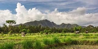 令人惊叹的云景时间与美丽的云彩和农田在热带巴厘岛，印尼的最高质量(4K/超高清到高清)-股票视频