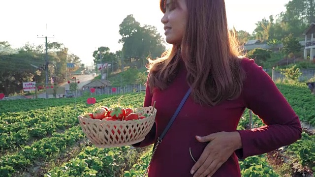 在农场里摘草莓的女人