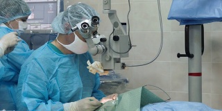 显微外科医生和护士在手术室工作