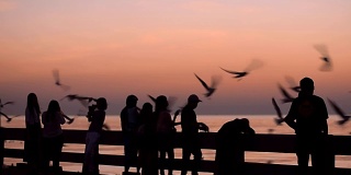 剪影:夕阳下的人群和海鸥群