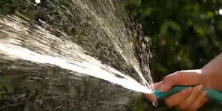 slow-motion, people watering tree in garden