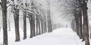 城市公园在冬天。人们在下雪时散步。