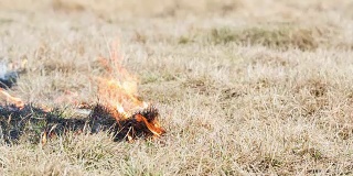 草地在田野里燃烧。纵火后火势蔓延。
