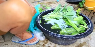 一位妇女正在清洗有机蔬菜