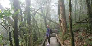 4K:在雨林自然步道中徒步的女性，4K(超高清)
