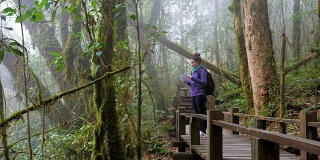 在热带雨林中徒步旅行的妇女