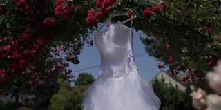 优雅的婚纱悬挂在花枝上