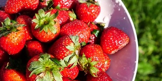 多汁的草莓与平移运动，4k(超高清)