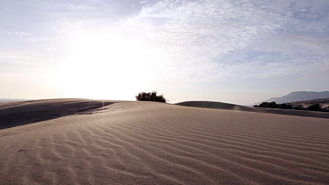 沙的沙漠