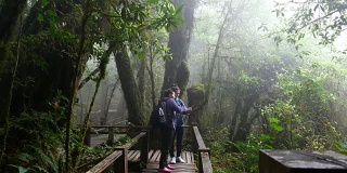 摄影:两个徒步旅行的年轻女子在热带雨林中一边徒步一边看地图