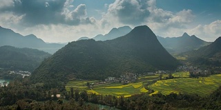 中国鸳鸯的梯田