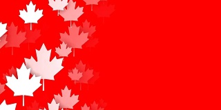 可循环的枫叶在红色背景，加拿大国旗，复制空间