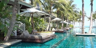 游泳池与热带棕榈树和海滩