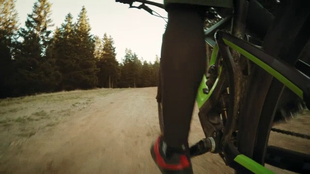 POV骑自行车的人的腿在森林的道路上在阳光