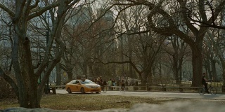 下午晚些时候在中央公园，有汽车和出租车