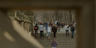 一群人在中央公园散步，享受着乐趣