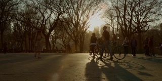 日落时分在中央公园散步的人群