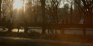 人们在中央公园的夕阳下放松