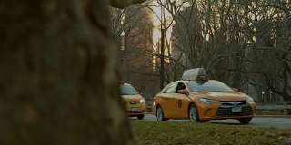 汽车和黄色出租车在纽约中央公园缓慢行驶
