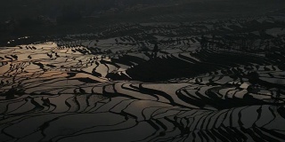中国多彩的稻田梯田