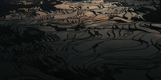 稻田的日出