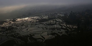 稻田的日出