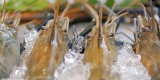冰上河虾和新鲜海鲜特写，摇拍，4k(超高清)