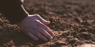 农民双手捧着，倒灌有机土壤。土壤、农业、阳光。