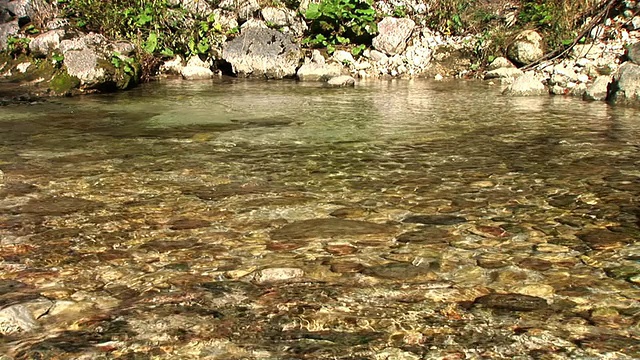 高清:纯洁