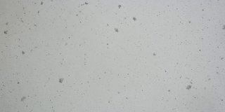 Snowfall /雪花飘落的慢镜头