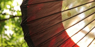 花园里的太阳伞。遮阳伞。