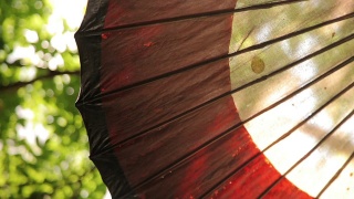 花园里的太阳伞。遮阳伞。视频素材模板下载