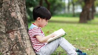孩子们在公园里读书视频素材模板下载