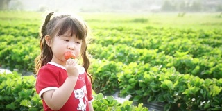 小女孩摘草莓吃