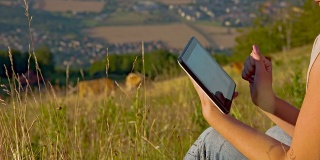 MS DS Woman With Digital Tablet In Grass
