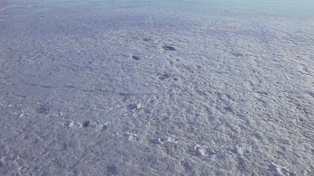 在春天飞过冰天雪地