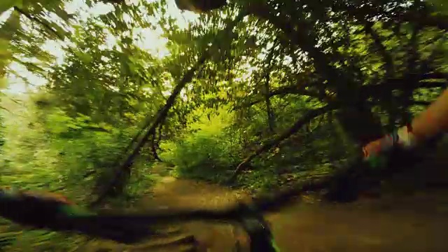 视角POV山地车在森林中快速骑行