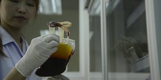 亚洲医疗技术员女子做质量控制期间的血袋储存冰箱在实验室医院
