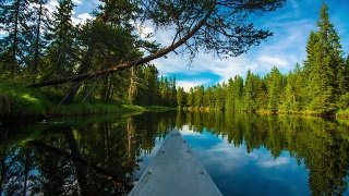 在平静的瑞典湖面上划独木舟视频素材模板下载