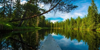在平静的瑞典湖面上划独木舟