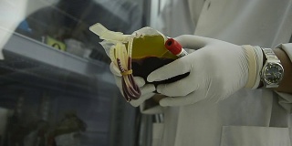 亚洲医疗技术员在实验室医院进行血袋冷藏期间的质量控制