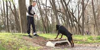 训犬师与杜宾犬一起进食和锻炼