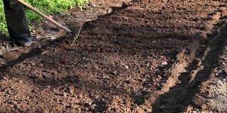 农夫在花坛上挖洞准备种植