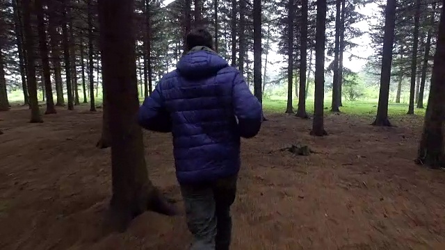 在森林中漫步