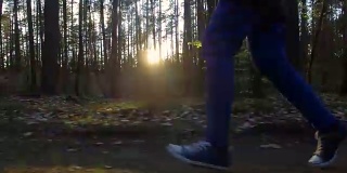 慢镜头:夕阳在森林里奔跑