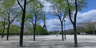 4K -穿过树林的巴黎埃菲尔铁塔