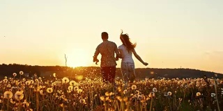 一对浪漫的情侣在蒲公英草地上奔跑