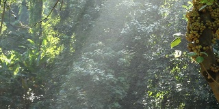 雨溅荒野地区