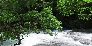 beautiful waterfall in guizhou province