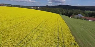 春季空中油菜籽田(4K/UHD)